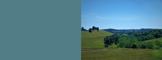 A photo of a pasture with a solid block of colour to the left of it